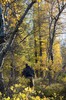 DSCF8336_Export