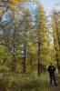 DSCF8337_Export