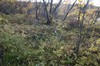 DSCF8338_Export