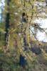 DSCF8341_Export