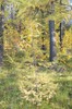 DSCF8342_Export