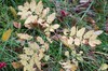 DSCF8343_Export
