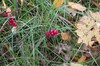 DSCF8344_Export