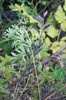 DSCF8354_Export