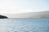 DSCF8355_Export
