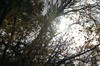 DSCF8374_Export