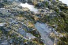 DSCF8385_Export