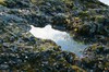 DSCF8386_Export