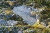 DSCF8387_Export