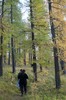 DSCF8393_Export