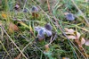 DSCF8394_Export