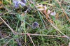 DSCF8395_Export