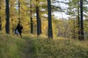 DSCF8396_Export