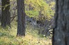 DSCF8397_Export