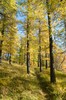 DSCF8399_Export
