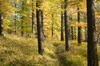 DSCF8400_Export