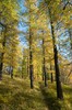 DSCF8401_Export