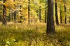DSCF8402_Export