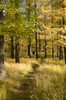 DSCF8403_Export