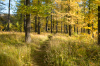 DSCF8404_Export