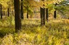 DSCF8405_Export