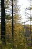 DSCF8406_Export