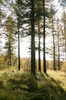DSCF8407_Export
