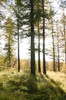 DSCF8408_Export