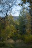 DSCF8410_Export