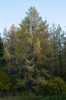 DSCF8411_Export
