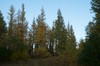 DSCF8412_Export