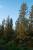 DSCF8413_Export