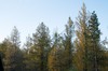 DSCF8414_Export