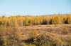 DSCF8420_Export