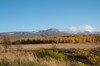 DSCF8424_Export