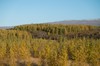 DSCF8432_Export