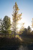 DSCF8436_Export