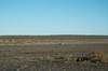 DSCF8470_Export