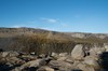 DSCF8495_Export