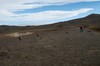DSCF8555_Export