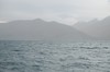 DSCF8587_Export