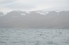 DSCF8589_Export