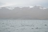 DSCF8590_Export