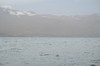 DSCF8592_Export