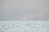 DSCF8597_Export