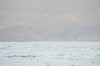DSCF8598_Export