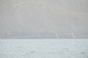 DSCF8600_Export