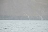 DSCF8601_Export