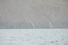 DSCF8602_Export