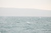 DSCF8604_Export